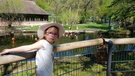 2019 - Tierpark Nuernberg